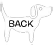 Back to Dogs