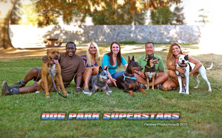 Bob in Dog Park Superstars